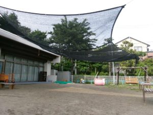 日差しが強くなってきたので